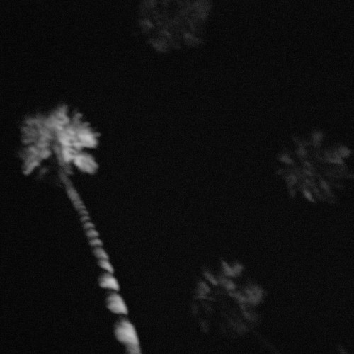 30-palms